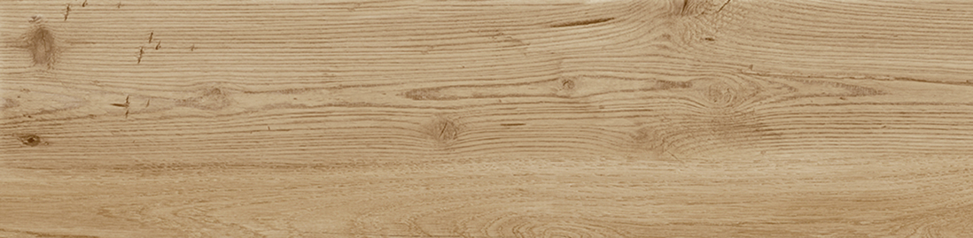 Slika od ASCOT TECA 29,4X120