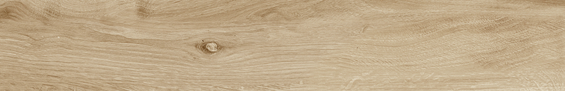 Slika od ASCOT TECA 19,3X120