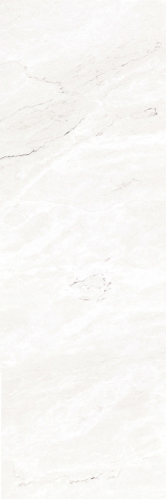 Slika od BIANCO CARRARA 33,3X100