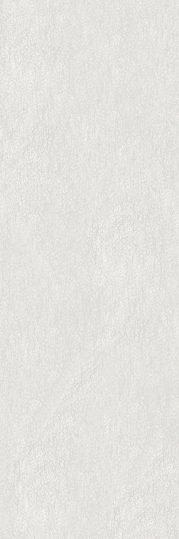 Slika od FILO BLANCO NP 33,3X100