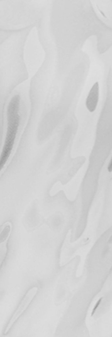 Slika od SEA BLANCO NP 33,3X100