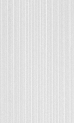 Slika od LINE BLANCO FNO. 20X33,3