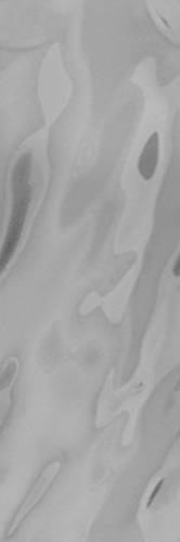 Slika od SEA SILVER 33,3X100