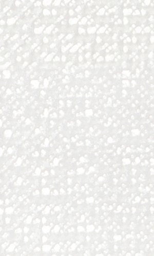 Slika od PEARLS WHITE 20X33,3