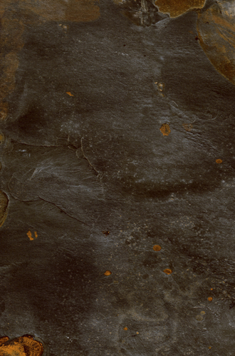 Slika od TIBET BLACK 43,5X65,9