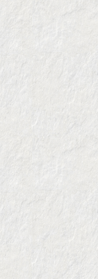 Slika od BALI NIEVE PV 31,6X90