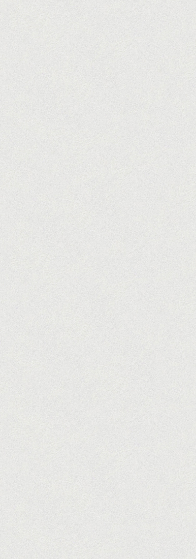 Slika od SEUL NACAR PV 31,6X90