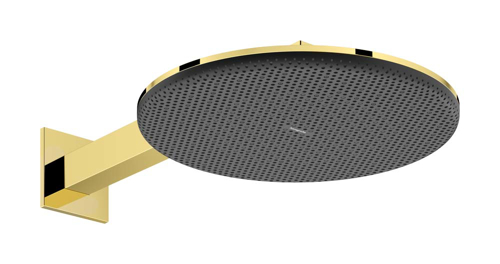 Slika od Raindance Alive S Overhead shower 300 2jet with shower arm