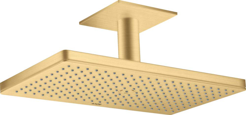 Slika od ShowerSolutions Overhead shower 460/300 1jet with ceiling connection