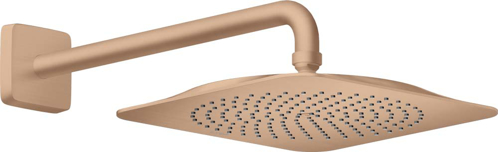 Slika od Citterio C Overhead shower 270/270 1jet EcoSmart with shower arm
