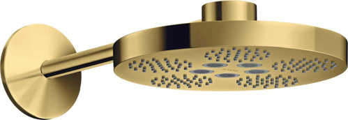 Slika od AXOR One Overhead shower 280 2jet with shower arm